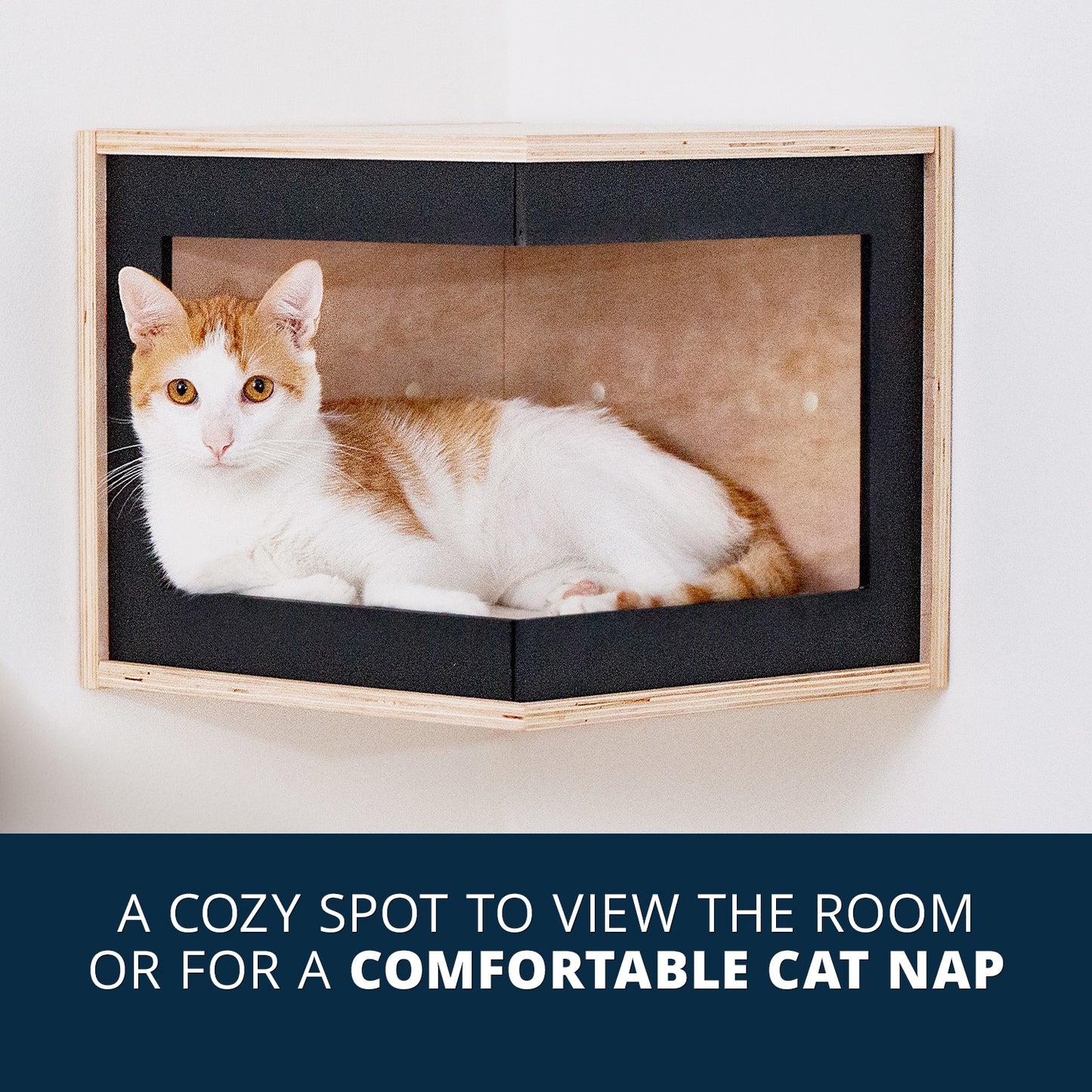 Corner Cat Cave