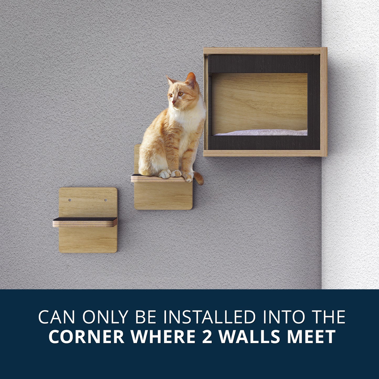 Corner Cat Cave