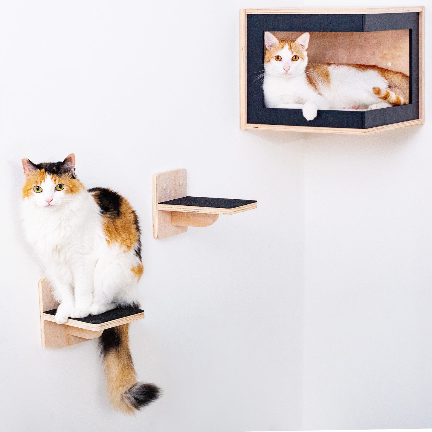 Corner Cat Cave