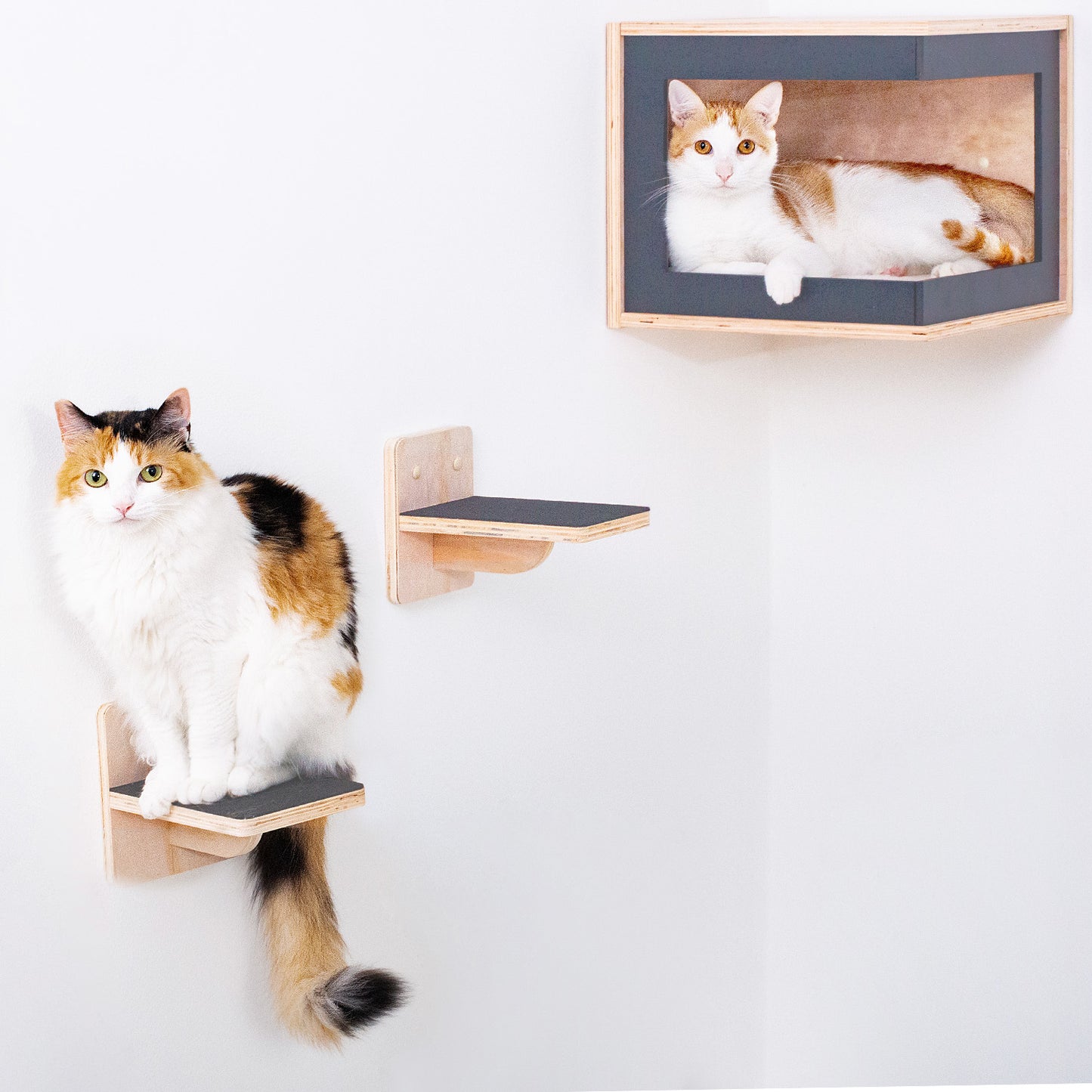 Corner Cat Cave
