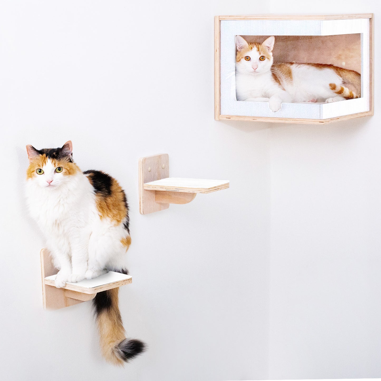 Corner Cat Cave